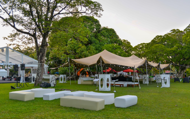 BLINK CARPAS Y EVENTOS